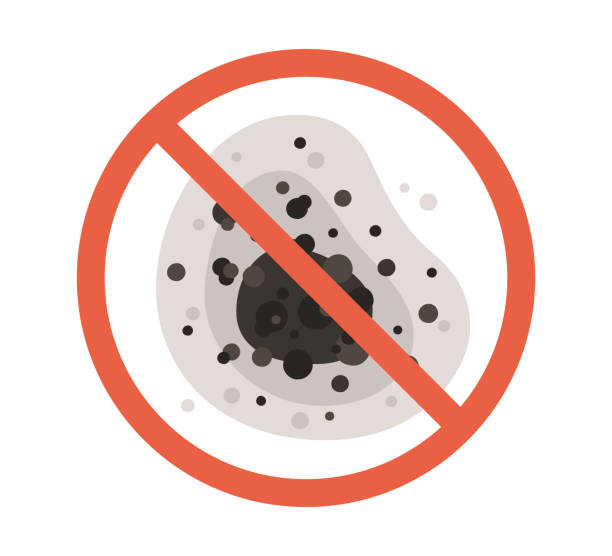 Livingston, CA Mold Removal Company