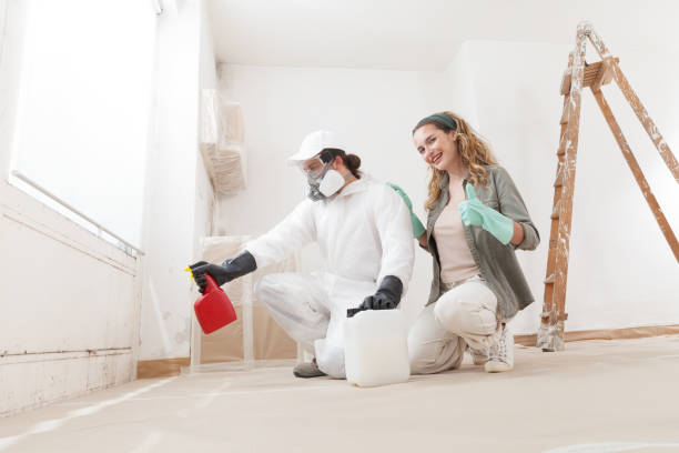 Best Comprehensive Air Testing for Mold Contaminants  in Livingston, CA