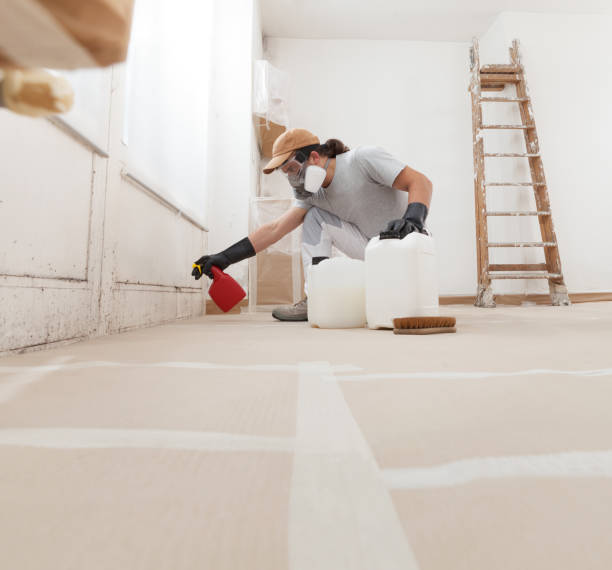 Best Air Quality Testing for Mold Spores  in Livingston, CA