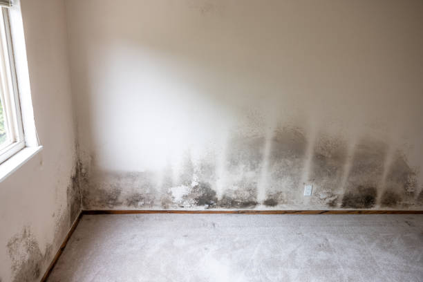 Best HVAC Mold Inspection and Cleaning  in Livingston, CA